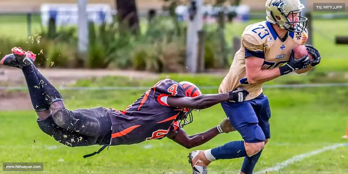 DB电竞官方网站🧗♂️向上攀登,向下扎根 —— 用运动的力量,解锁人生新高度!